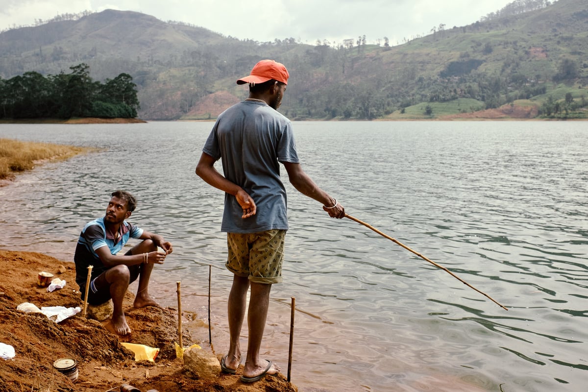 The Cost of Tea — Sri Lanka — frame